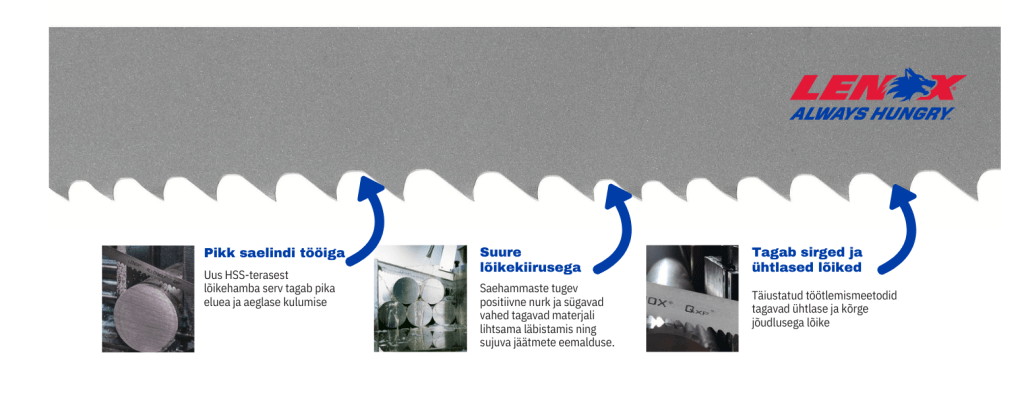 Lenox saelindi joonis koos seletustega.